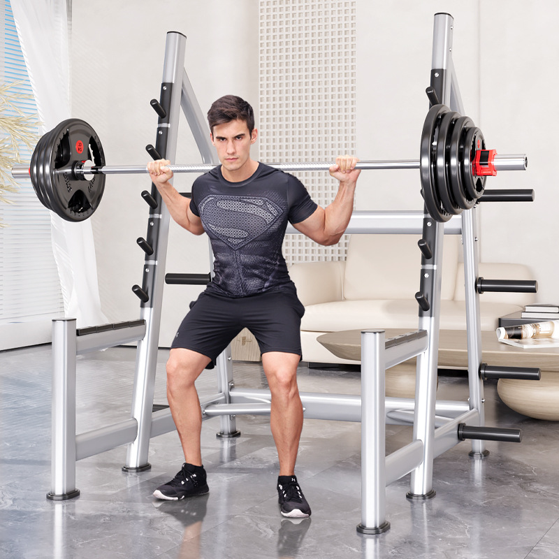 Squat Rack Power Cage, Plate L - đánh giá và giá Heavy Equipment Lift