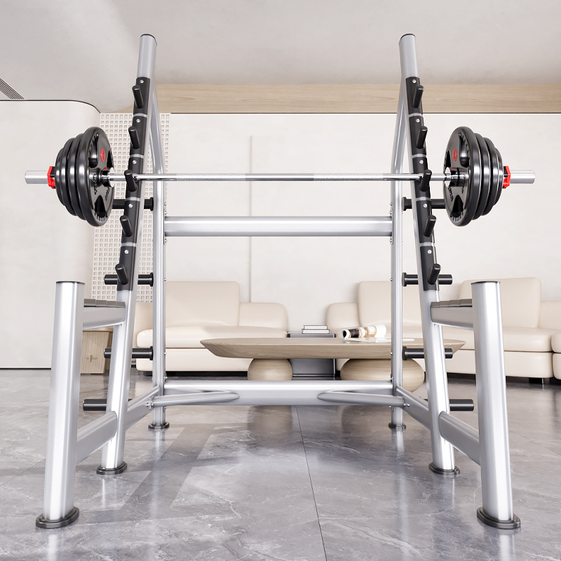 Squat Rack Power Cage, Plate L - đánh giá và giá Heavy Equipment Lift